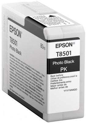 EPSON Cartridge Photo Black C13T850100