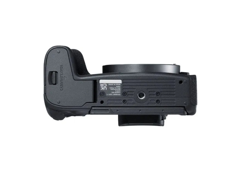 Canon EOS R8+RF24-50 F4.5-6.3 IS STM SEE