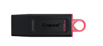 KINGSTON USB FLASH DTX/256GB