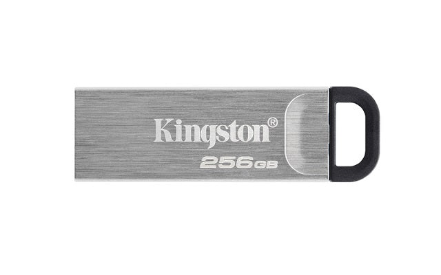 KINGSTON USB Stick Data Traveler DTKN/256GB | USB 3.2 |  Silver