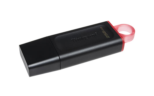 KINGSTON USB Stick Data Traveler DTX/256GB |  USB 3.2 |  Black