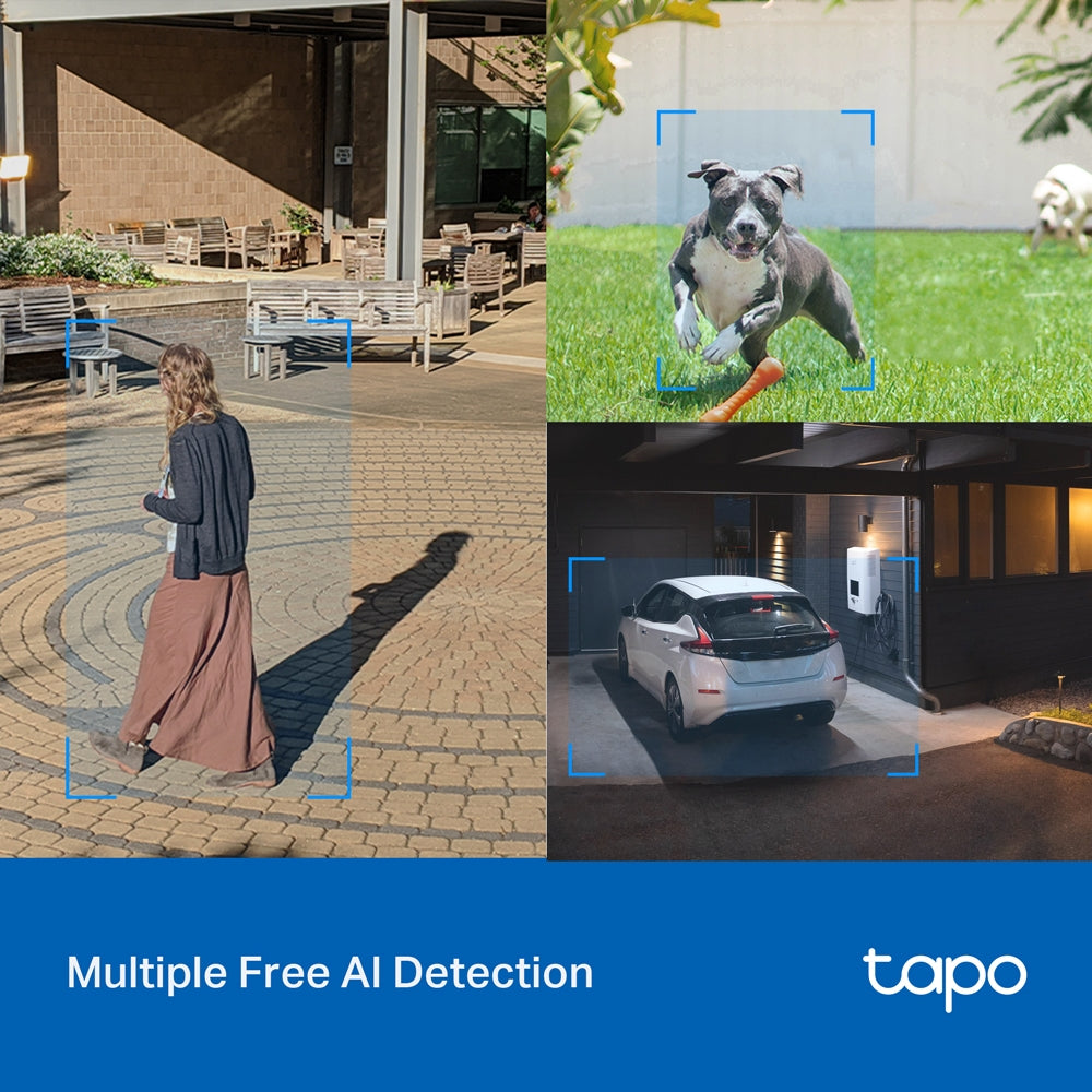 TP-LINK Tapo C520WS Wi-Fi Camera Outdoor Pan/Tilt
