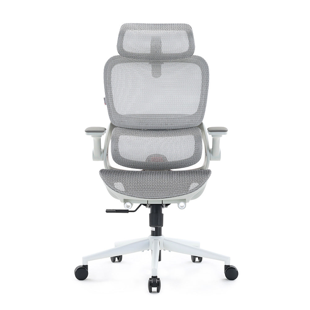 SIHOO ERGONOMIC CHAIR B100 PRO GREY WHITE