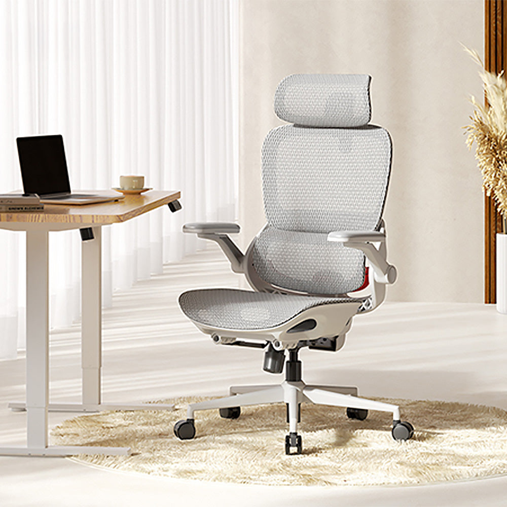 SIHOO ERGONOMIC CHAIR B100 PRO GREY WHITE
