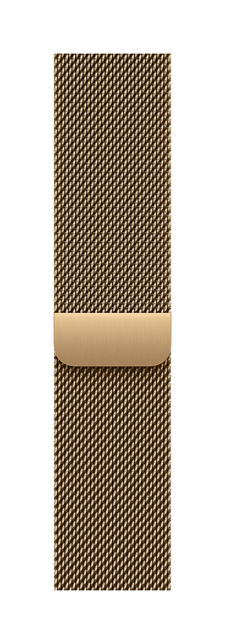 Milanese Loop, Radiant Gold