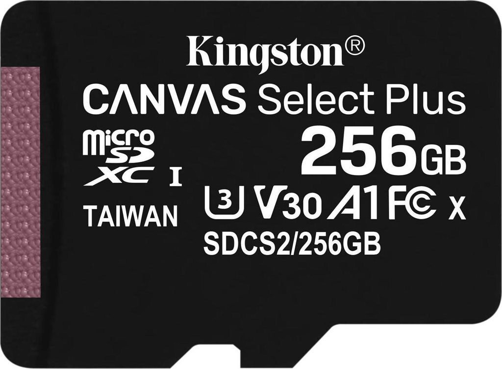 256GB SDHC Canvas SelectPlus 100R A1 C10