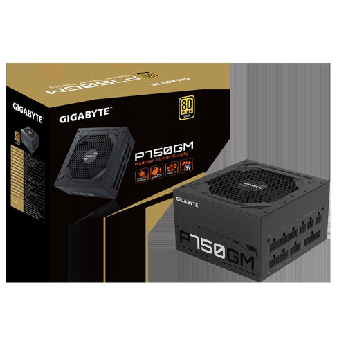 POW/SUP GIGABYTE P750GM 80+ GOLD