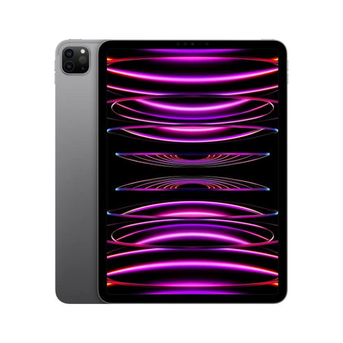 iPad Pro 11  M2 WiFi 256GB SG (MNXF3)