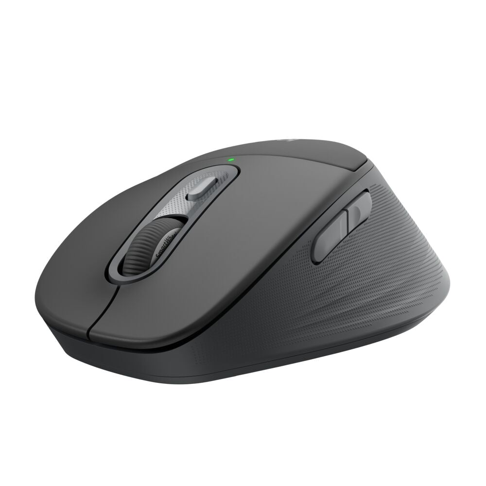 LOGITECH Wireless Mouse Comfort Plus M850 L For Business
