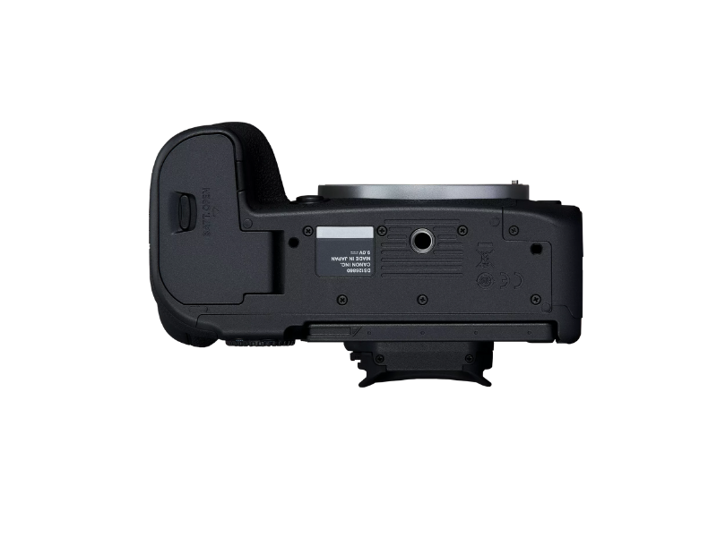 Canon EOS R6 MARK II V5+RF24105 S SEE