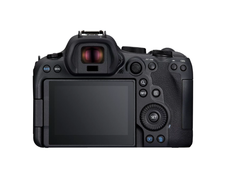 Canon EOS R6 MARK II V5+RF24105 S SEE