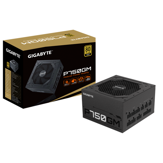 POW/SUP GIGABYTE P750GM 80+ GOLD