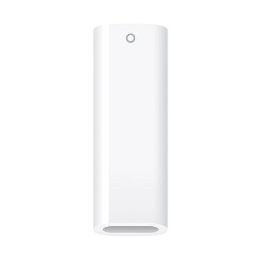 USB-C to Apple Pencil Adapter (Ν)